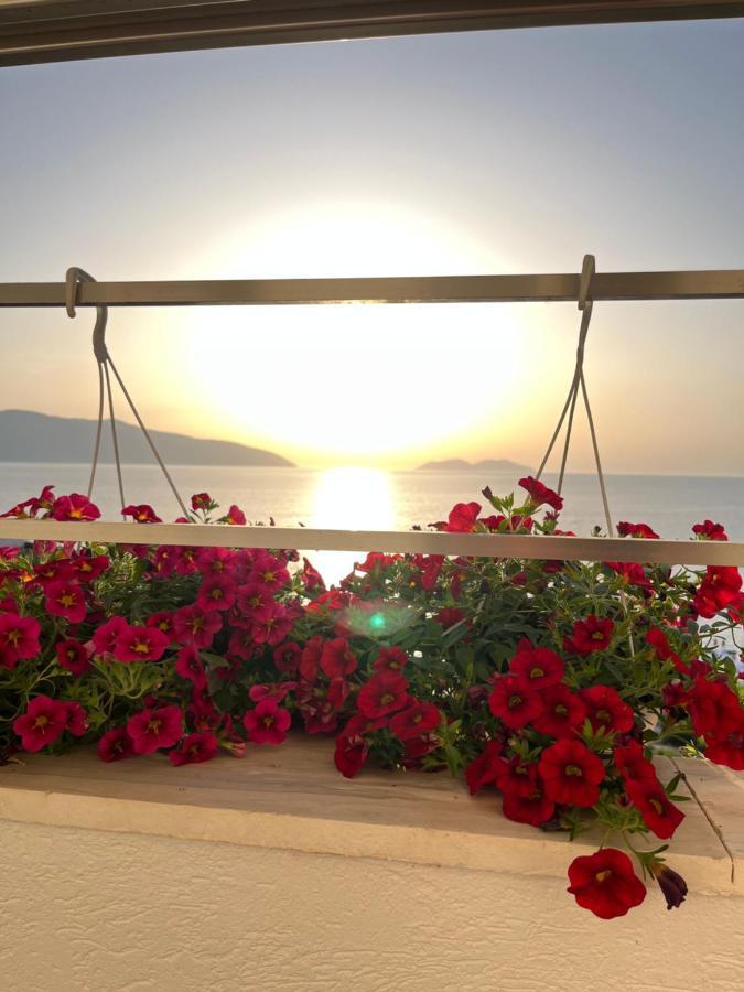Lotus Apartments Vlore Luaran gambar