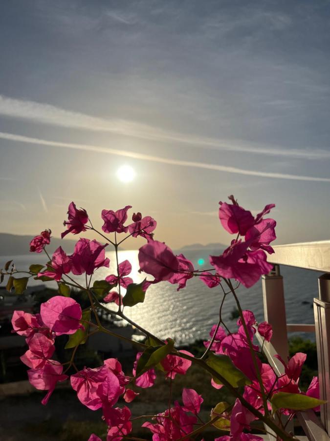 Lotus Apartments Vlore Luaran gambar